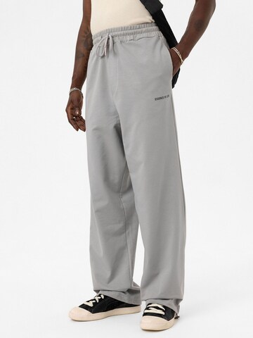 Loosefit Pantaloni di VAMOS CLO in grigio