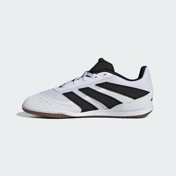 ADIDAS PERFORMANCE Sportschuh 'Predator Club' in Weiß