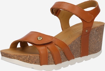 PANAMA JACK Sandals 'Romy B1' in Brown: front