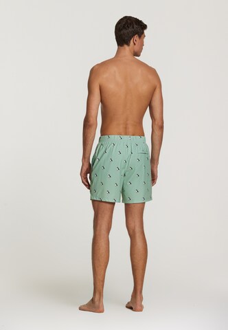 Shiwi Board Shorts 'puffin 4-way stretch' in Grün