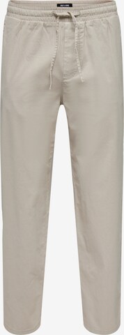 Loosefit Pantalon 'Sinus' Only & Sons en gris : devant