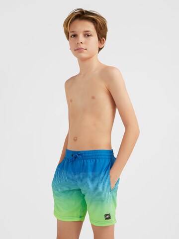 Shorts de bain ' Cali ' O'NEILL en bleu : devant