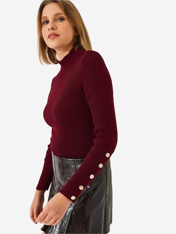 Bianco Lucci Kampsun 'Pullover', värv punane