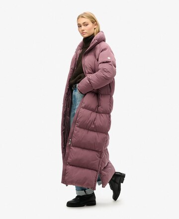 Superdry Winterjas in Lila
