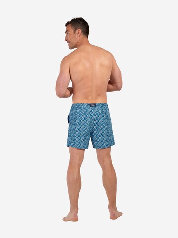 HOM Swimming shorts ' Beach Boxer Camaiore ' in Blue