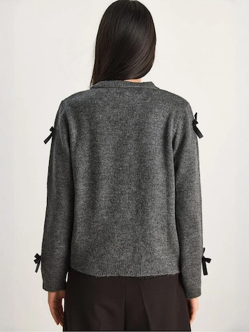 Bianco Lucci Kampsun 'Pullover', värv hall