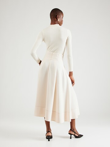 Elisabetta Franchi Skirt 'GONNA' in Beige