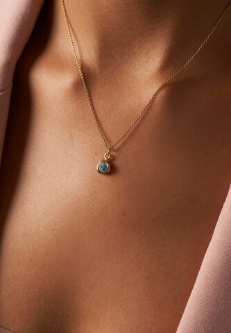 Chaîne Stilnest en or : devant