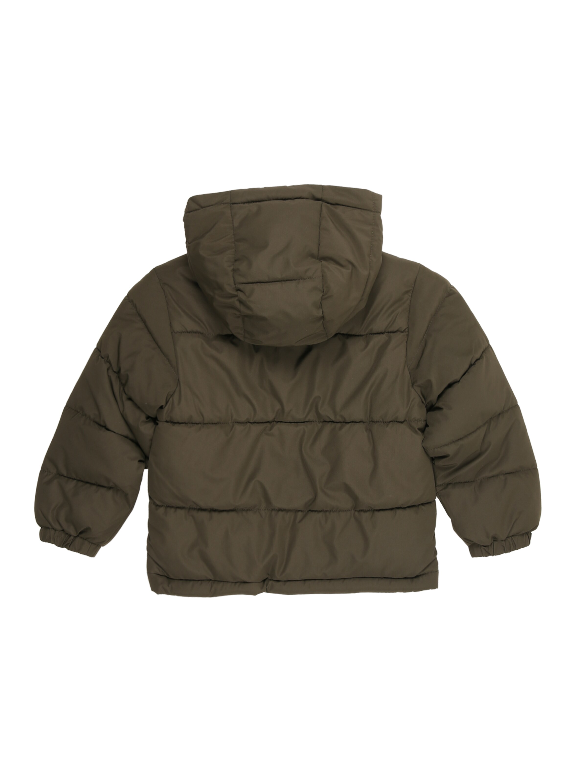 JACK & JONES MINI Vinterjacka 'JCOSpeed' i grön