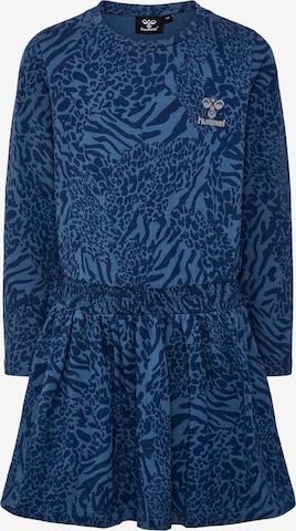 Robe Hummel en bleu : devant