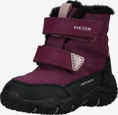 GEOX Snowboots in 20 in cyclam / schwarz, Produktansicht