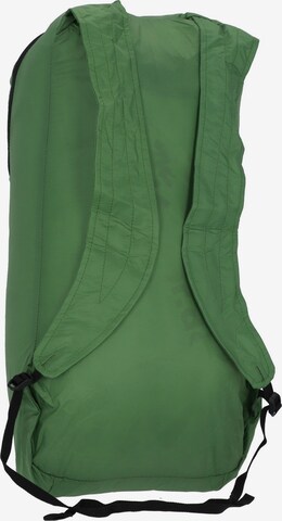 SALEWA Sports Backpack in Green