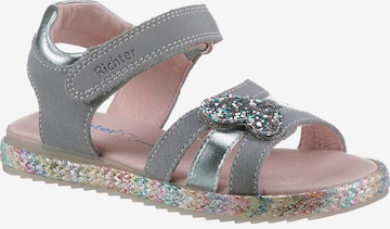 Richter Schuhe Sandalen in Grijs: voorkant