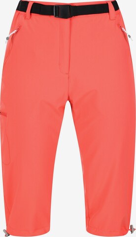REGATTA Outdoor Pants 'Xert' in Orange: front
