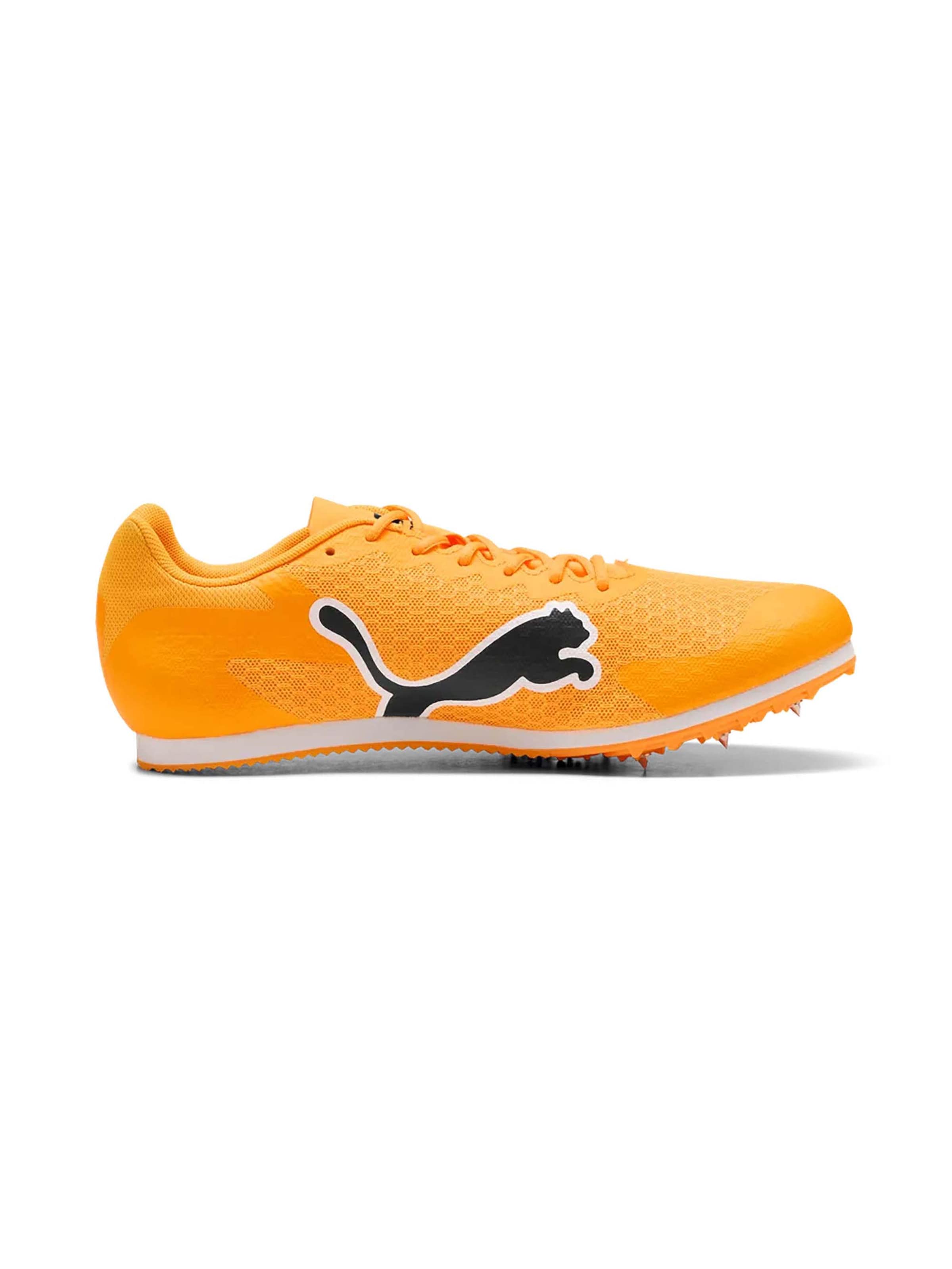 PUMA Laufschuh in Orange