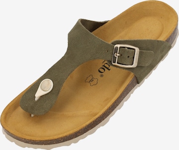 Palado Zehentrenner 'Palado Kos Suede Premium Leather' in Grün: Vorderseite