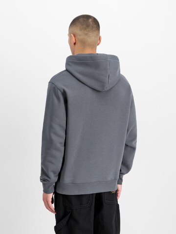ALPHA INDUSTRIES Bluzka sportowa 'DTM' w kolorze szary