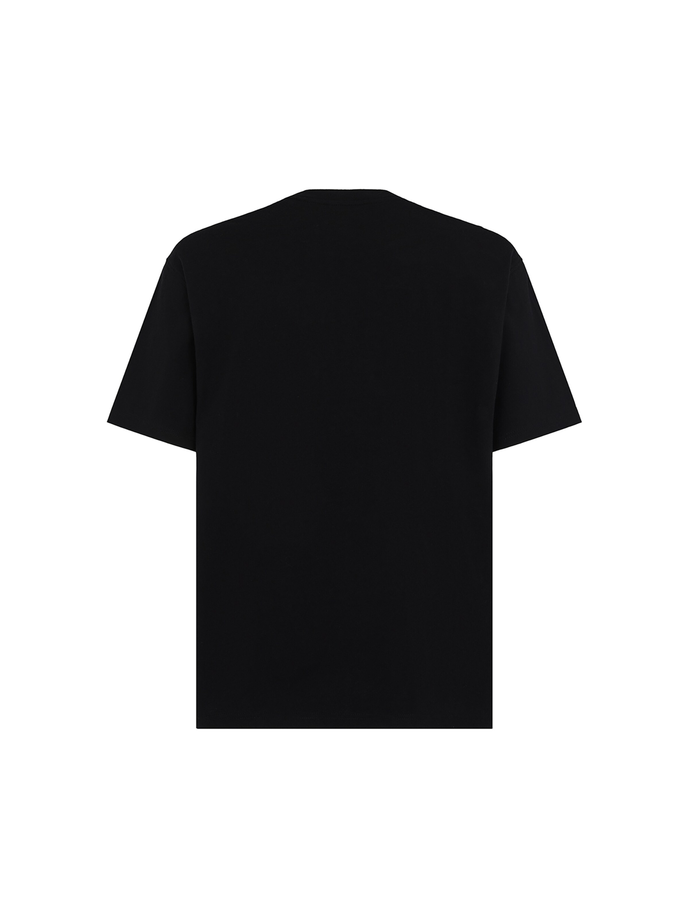 juoda DICKIES Marškinėliai