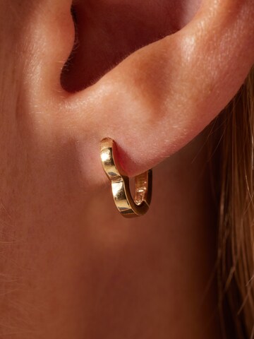 Lucardi Oorbellen in Goud