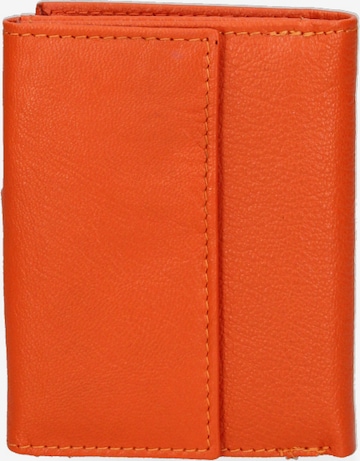 Sergio Valentini Portemonnaie in Orange: Vorderseite