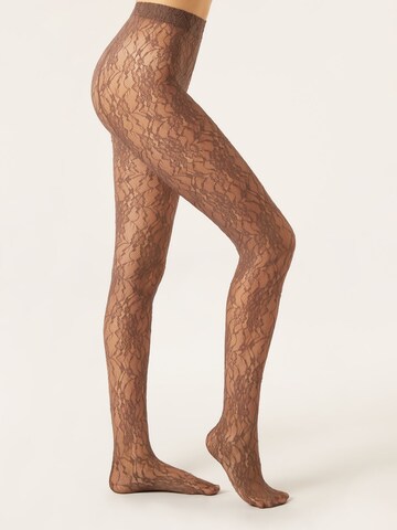 CALZEDONIA Tights in Brown