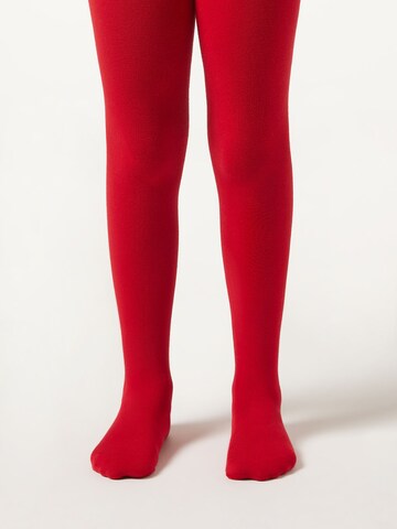 CALZEDONIA Tights in Red: front
