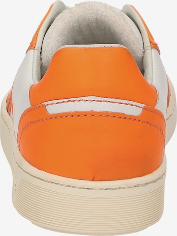SIOUX Sneakers laag in Oranje