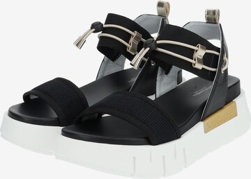 Nero Giardini Strap Sandals in Black