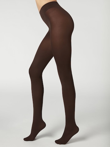 CALZEDONIA Fine Tights in Brown: front