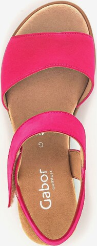 GABOR Sandale in Pink