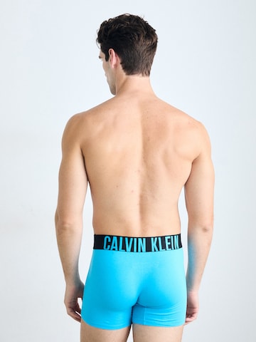 Calvin Klein Underwear Boxer shorts in Blue