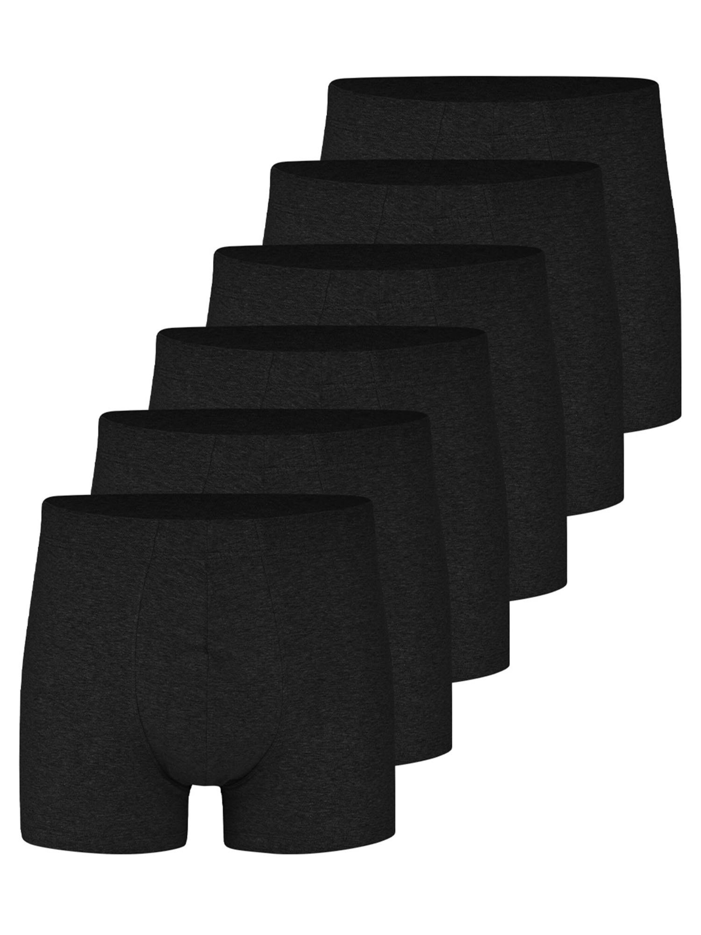 Almonu Boxer shorts 'Every Day Comfort' in Grey: front