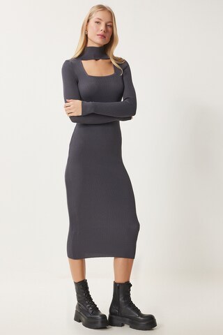 Happiness İstanbul Kleid in Grau