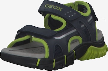 GEOX Sandals & Slippers 'Dynomix' in Blue: front