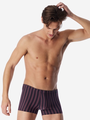 Boxers ' Long Life Soft ' SCHIESSER en marron