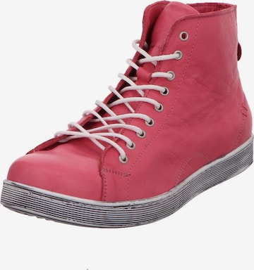 Sneaker alta 'Stiefel Damen 0341500-084 Echtleder in pink' di ANDREA CONTI in rosa: frontale