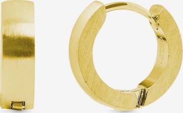 Akzent Ohrringe 'Messalie, langlebig' in Gold: Vorderseite