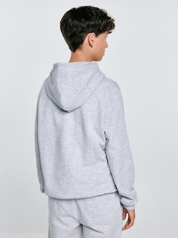 BIG STAR Sweatjacke 'ARON' in Grau