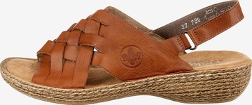 Rieker Sandal in Brown