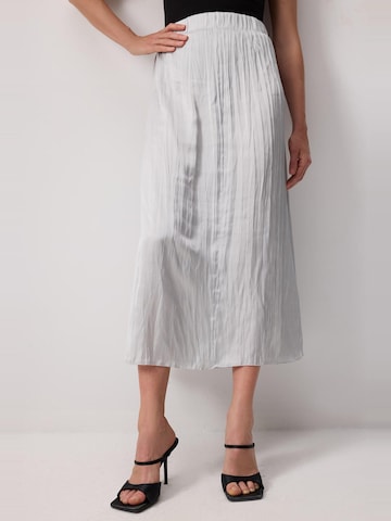 Touche Prive Skirt in Grey