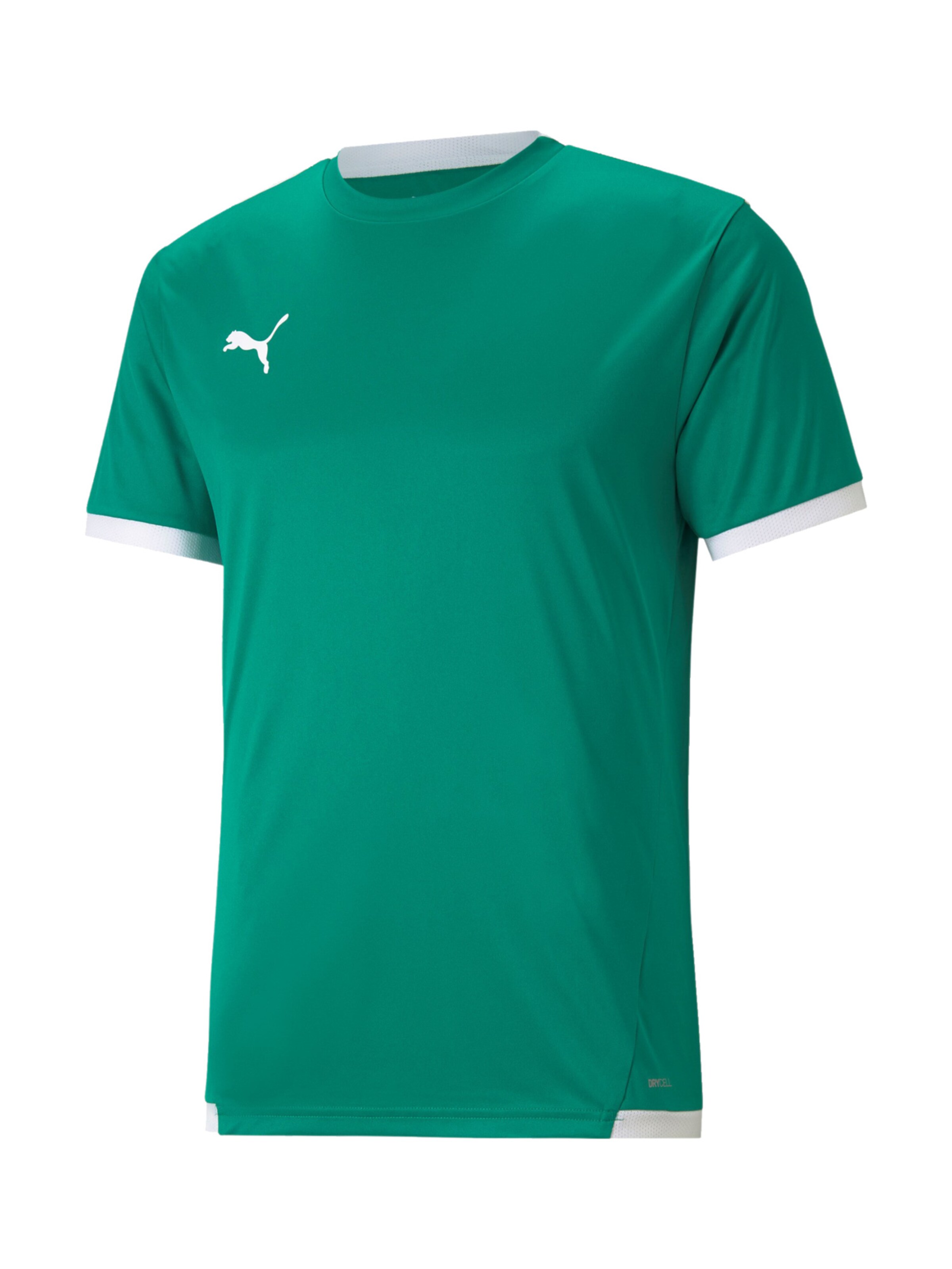 PUMA Performance Shirt 'TeamLiga' in Green: front