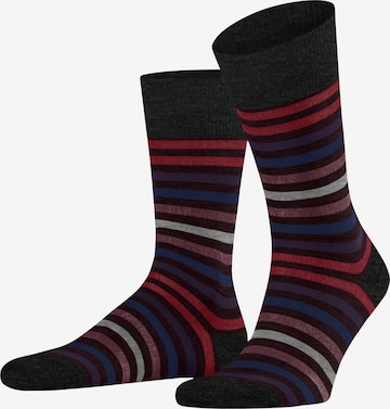 FALKE Socken 'Tinted Stripe' in Rot: Vorderseite