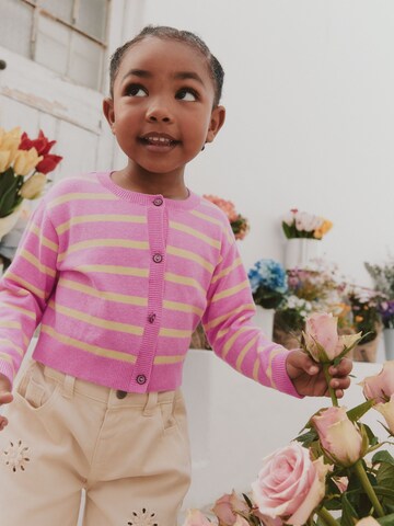 Next Gebreid vest in Roze