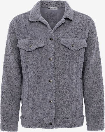 Giacca di pile di Dandalo in grigio: frontale