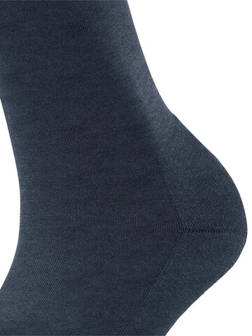 FALKE Socks 'ClimaWool' in Mixed colors