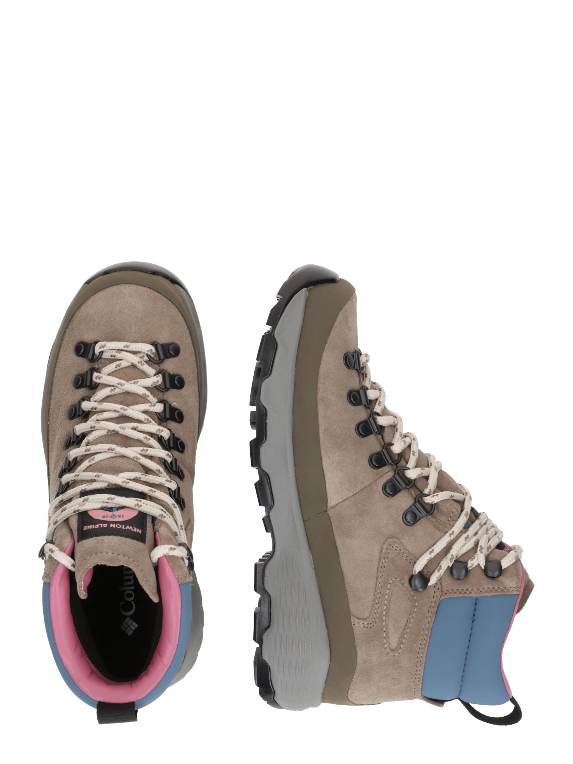 COLUMBIA Boots 'NEWTON ALPINE PT™' σε καφέ