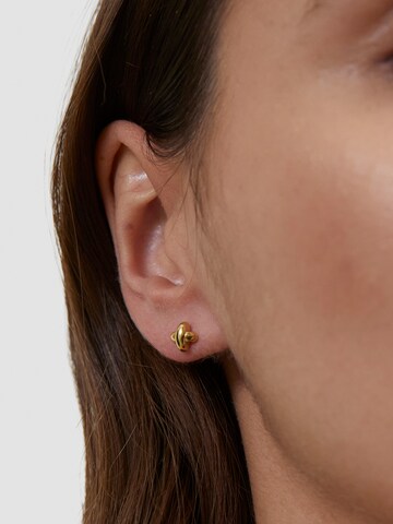 s.Oliver Ohrringe in Gold: Vorderseite