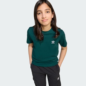 ADIDAS ORIGINALS T-Shirt 'Trefoil Essentials' in Grün