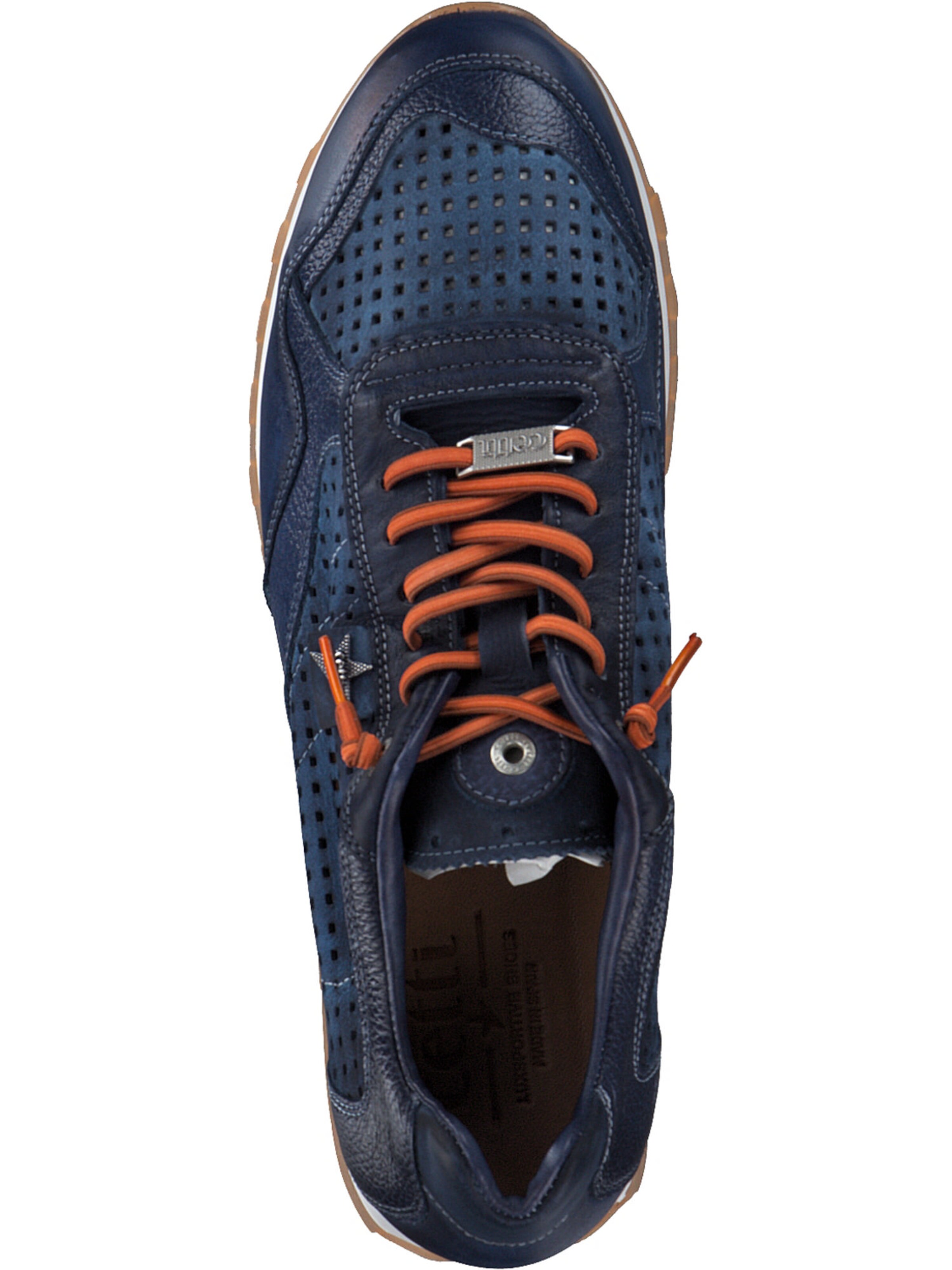 Cetti Sneakers laag 'C848 S M' in Blauw