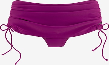 LASCANA Bikini hlačke | roza barva: sprednja stran